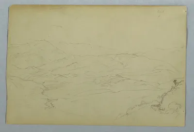 Sketches of Plants and of Part of the Balustrade Bordering the Terrace at the Inn at Guaranda, Ecuador