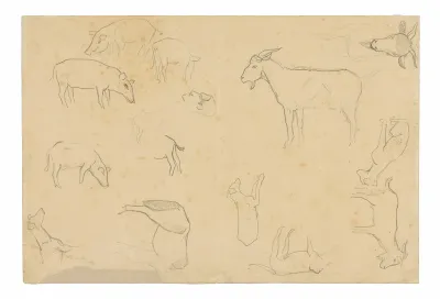 Sketches of Various Animals and Head (recto), Sketches of a Head, Figure in Profile, Anatomical Details, and Animals (verso)