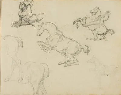 Sketches: Reclining Nude, a Horseman and Various Horses
