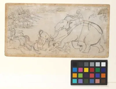 Skirmish with an Elephant