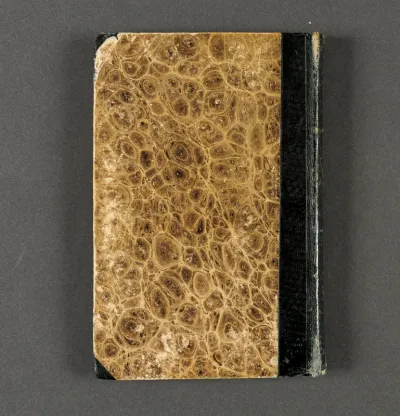 Skitse og rejsedagbog. Schweiz, Frankrig og Italien 1845-46