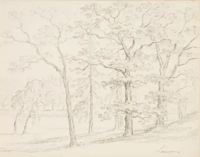 Skog på slättland