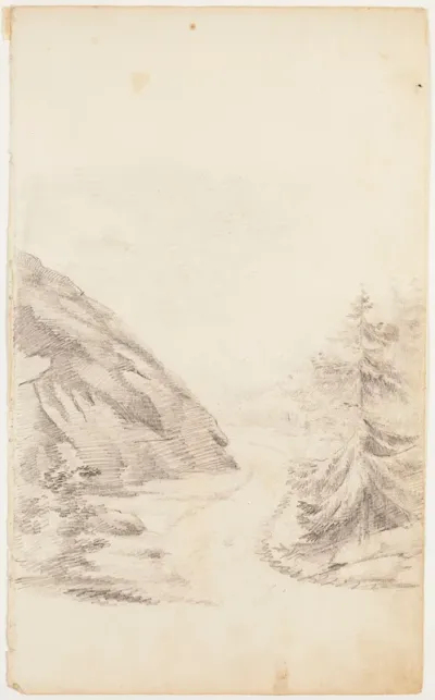 Skogbäck
