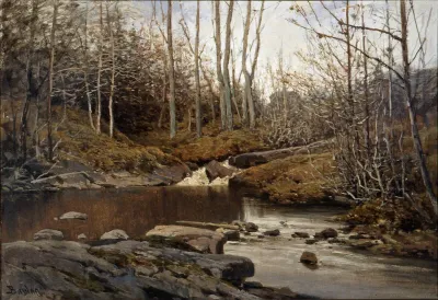 Skoginteriør