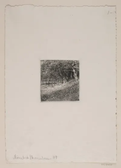 Skovinteriør