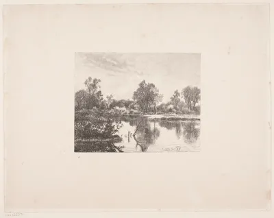 Skovsø