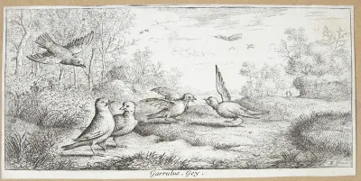 Skovskaden (Garrulus)