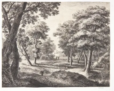 Skovvej