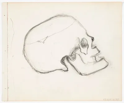 Skull