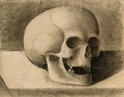 Skull. Chalk drawing, 18--(?)