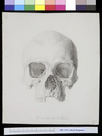 Skull from Australia, frontal view