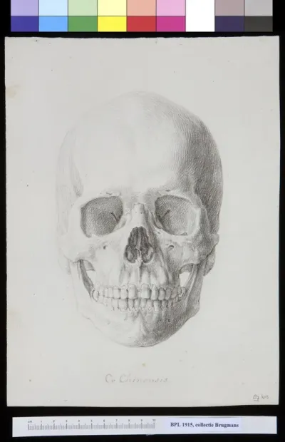 Skull of a man or woman from China, frontal view