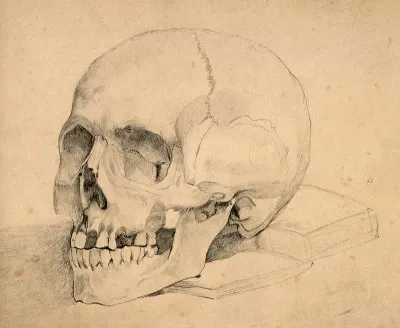 Skull, placed on a book