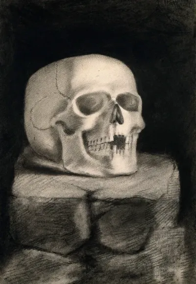 Skull, resting on a block of stone