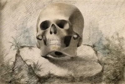 Skull, resting on a tree-stump