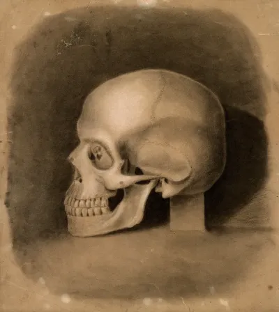 Skull, side view, resting on a block of stone