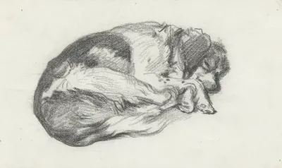 Slapend hondje