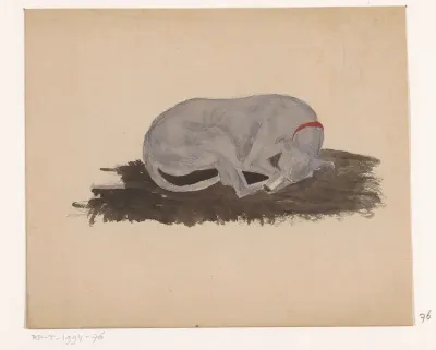Slapende hond