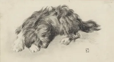 Slapende hond