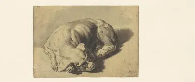 Slapende hond
