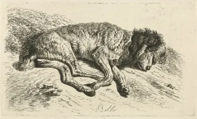 Slapende hond