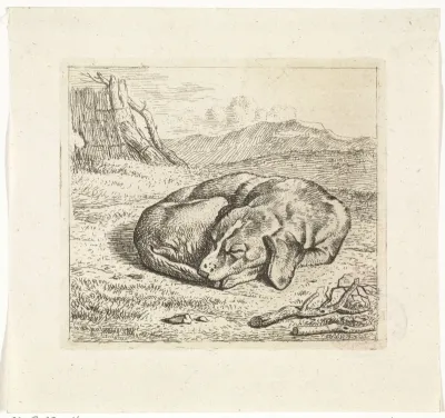 Slapende hond in landschap