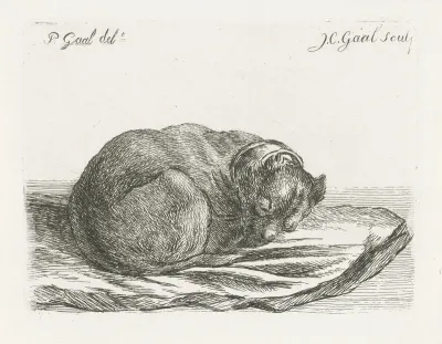 Slapende hond, liggend op een deken