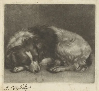 Slapende hond, mogelijk een spaniël