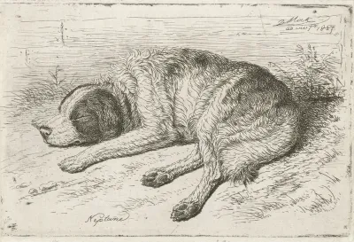 Slapende hond naar links
