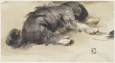 Slapende hond, van achteren gezien