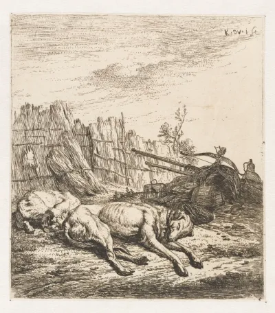 Slapende jachthonden