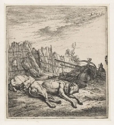 Slapende jachthonden