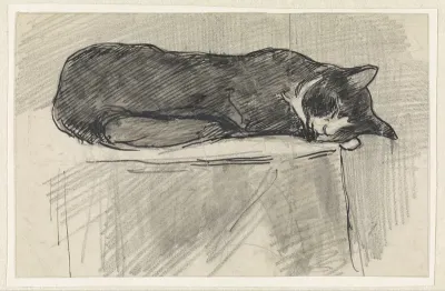 Slapende kat