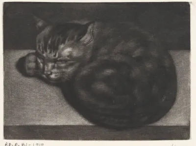 Slapende kat