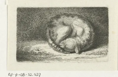 Slapende kat