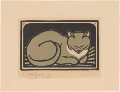 Slapende kat