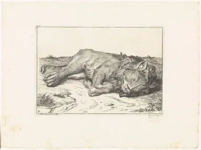 Slapende leeuw