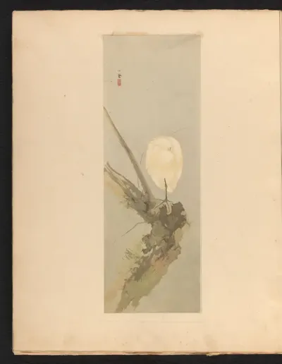 Slapende reiger