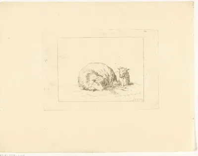 Slapende schapen