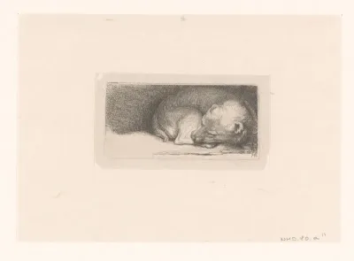 Sleaping puppy