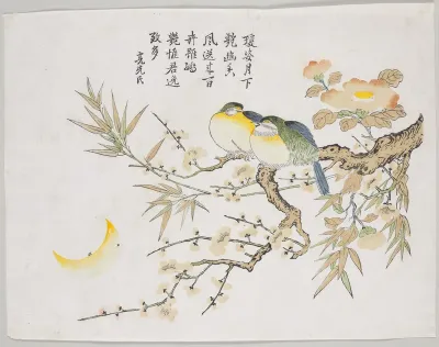 Sleeping Birds