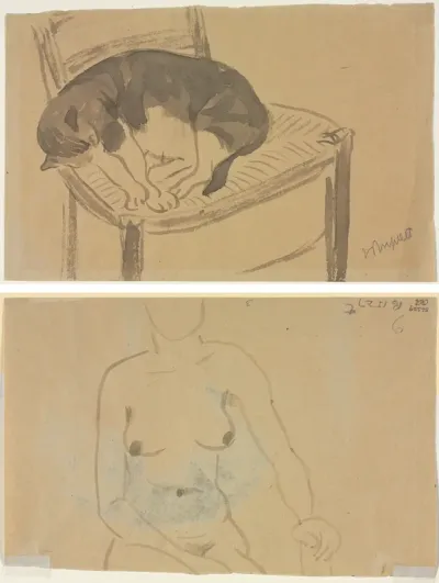 Sleeping Cat (recto) Torso of a Nude Woman (verso)