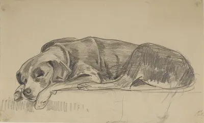 Sleeping dog