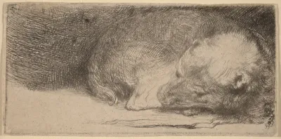 Sleeping Puppy