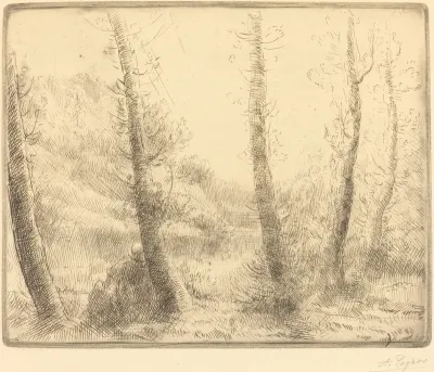 Small Lake