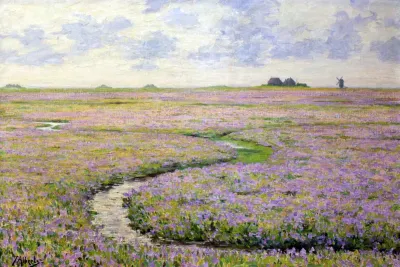 Small low Island in flower