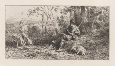 Small Pig Herd