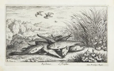 Smelten (Epelanus)
