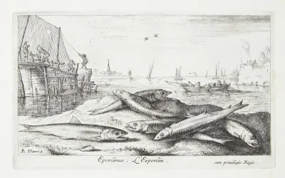 Smelten (Eperlanus)