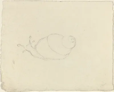 Snails (recto and verso)